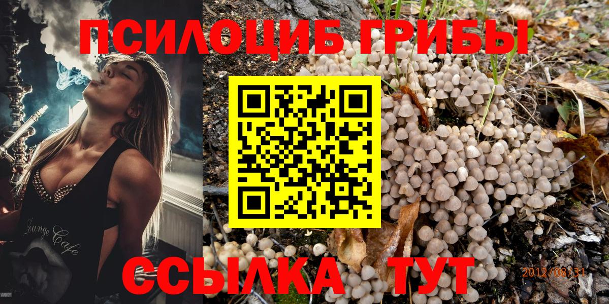Галлюциногенные грибы Psilocybe Донецк